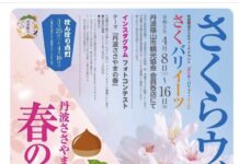 期間限定グルメが味わえる「さくらウィーク」開催!